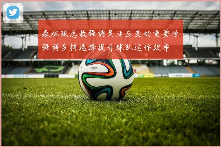 森林狼总裁强调灵活应变的重要性强调多样选择提升球队运作效率